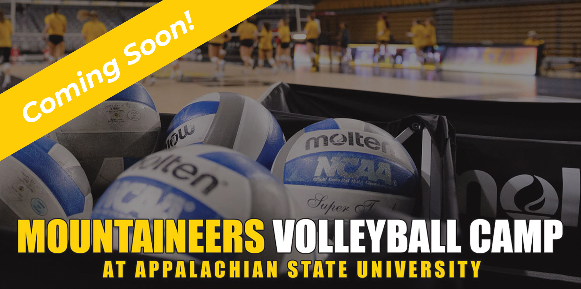 Volleyball camp youth coming soon